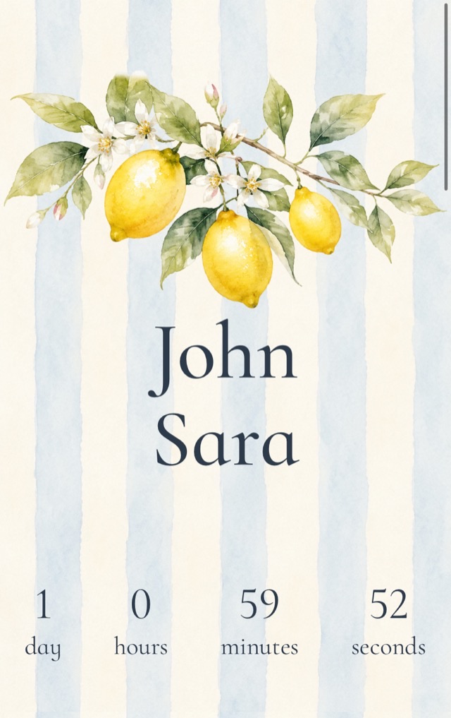 Cover with your names, the date and a countdown — a screen of an online wedding invitation
